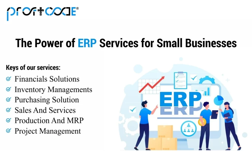 ERP development system for small businesses