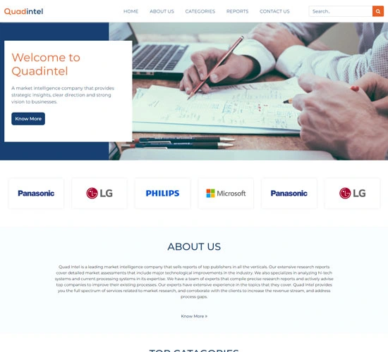 Quadintel | Web Development | Proftcode