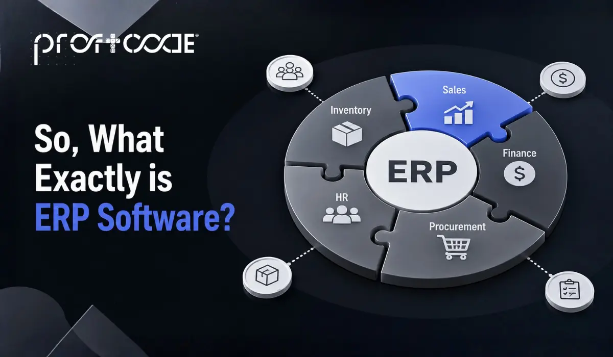 What Exactly is ERP Software
