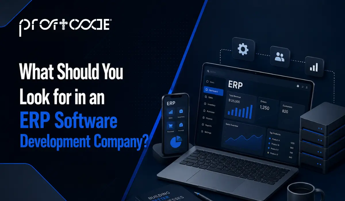 What Should You Look for in an ERP Software Development Company?​